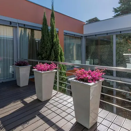 Casa Laranja Boutique House Pensionat 4*