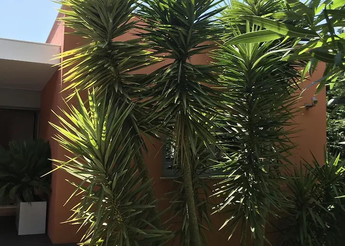 Pensión Casa Laranja Boutique House 4*