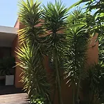 Penzion Casa Laranja Boutique House 4*